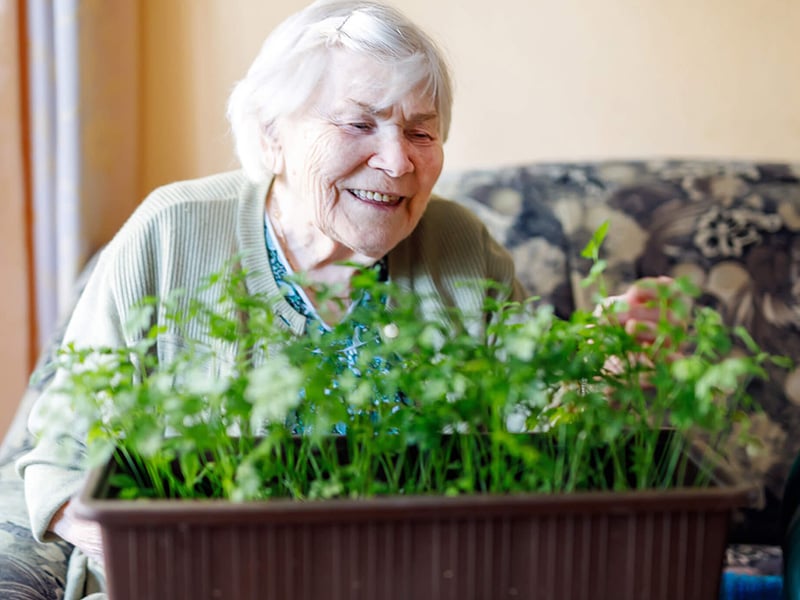 Senior woman checking indoor plant