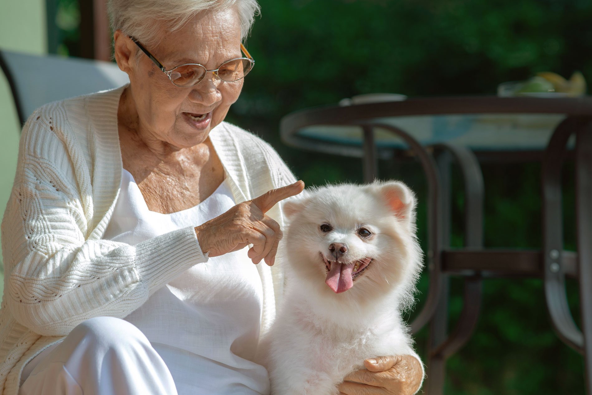 senior woman with a small dog