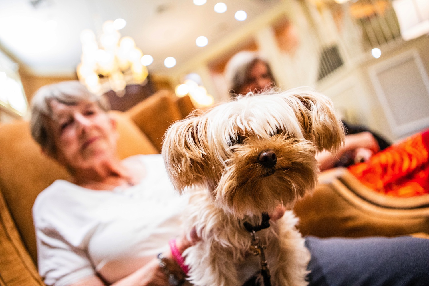 Pekin__Homepage_LivingTRUE_WomanWithDog