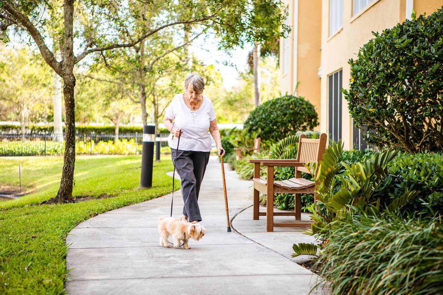 Resident walking her dog outside