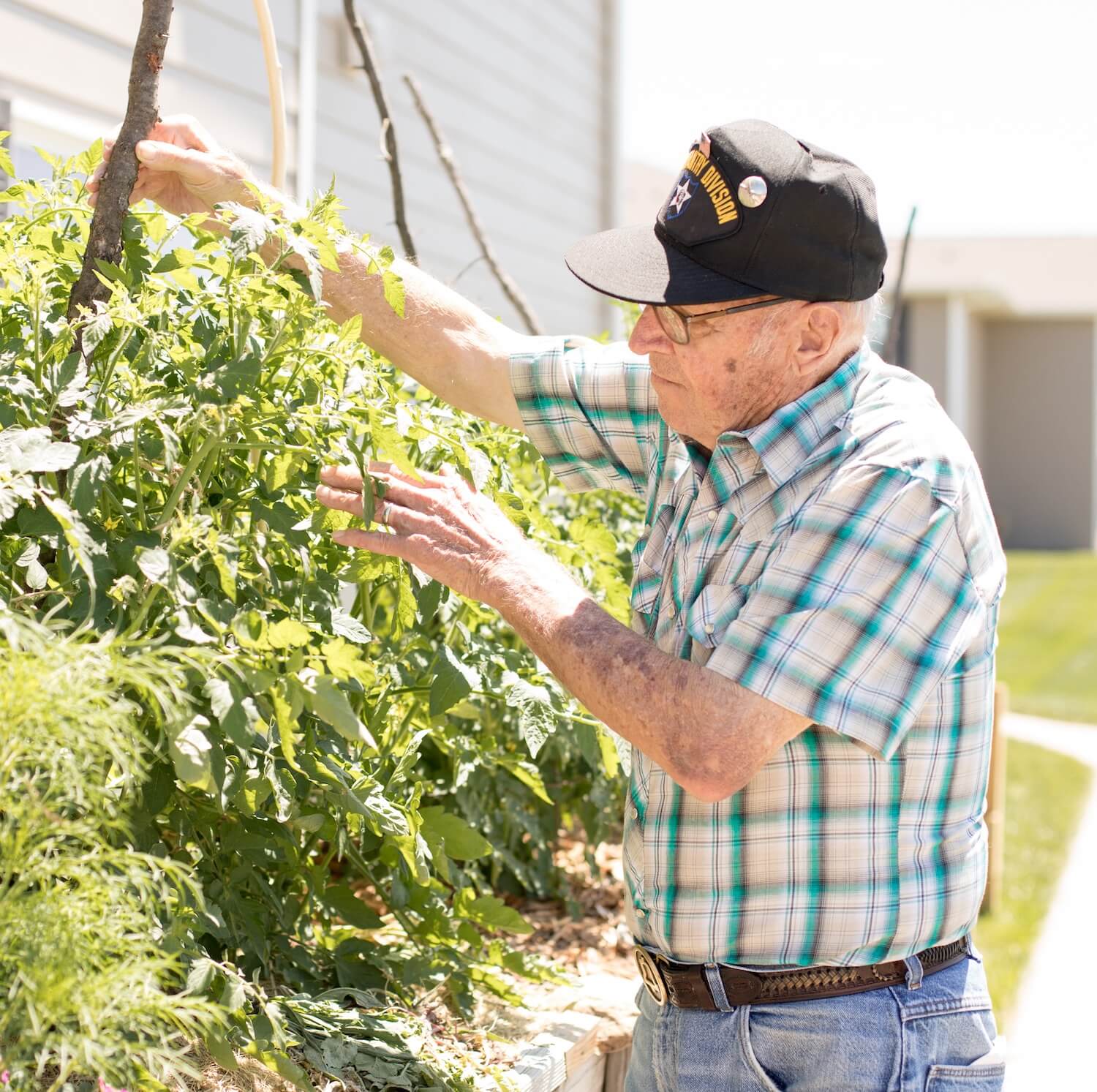 Senior man gardening outdoors