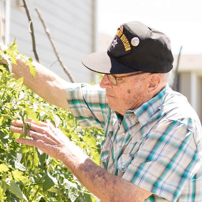 Man tending to plants