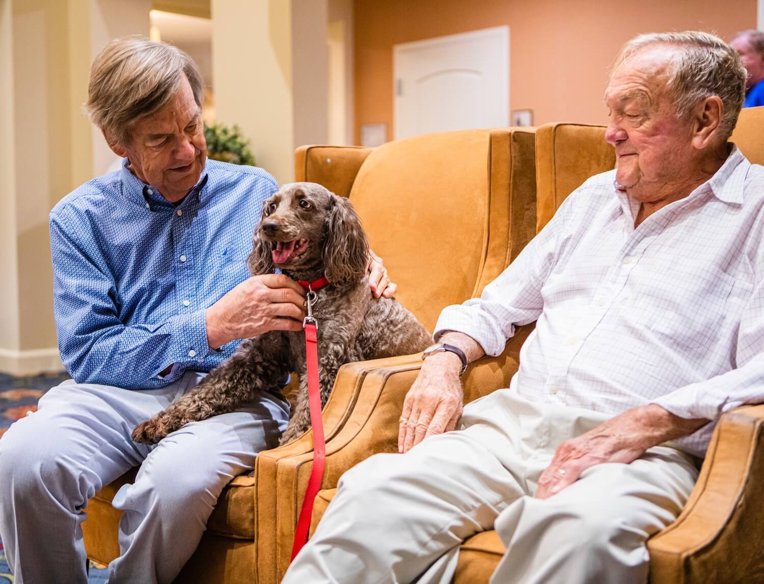 Senior friends holding a dog