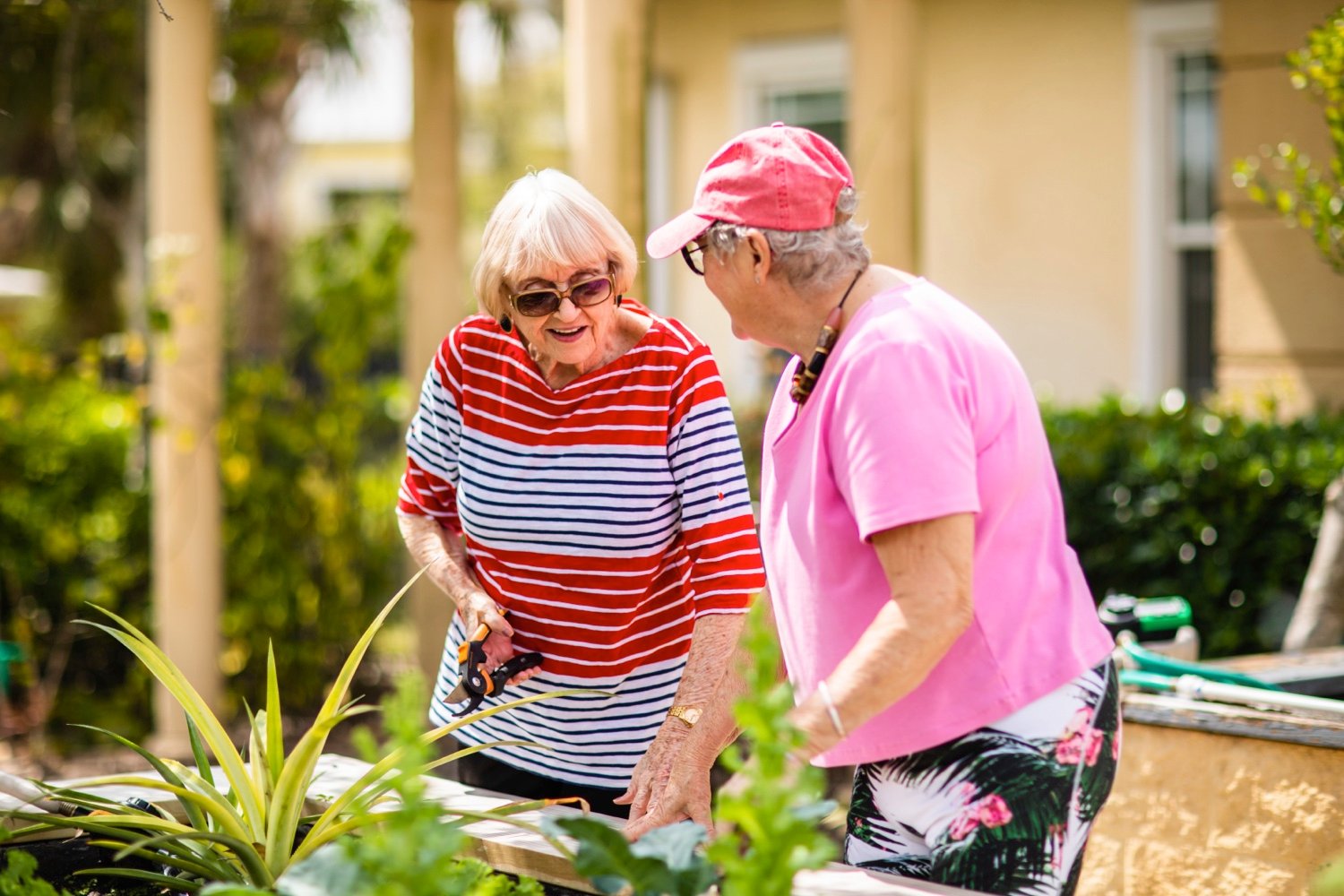 Senior women friends gardening