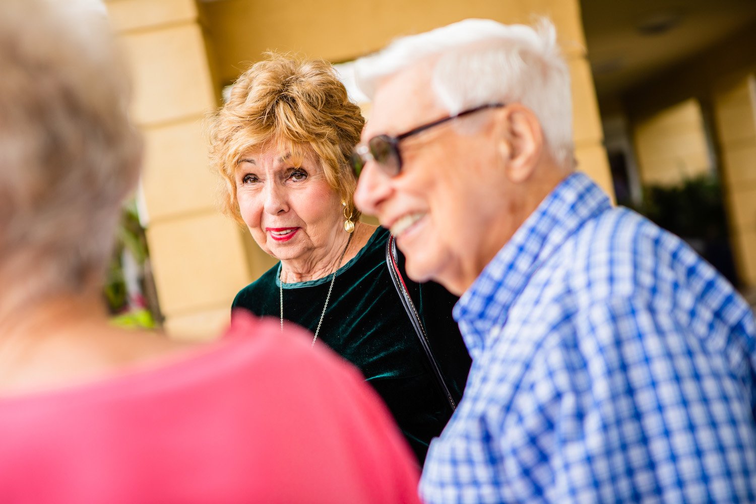 A group of senior friends socializing