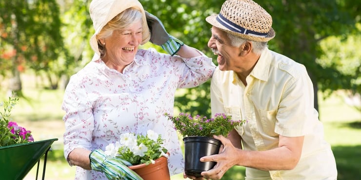 Older aged couple gardening together 
