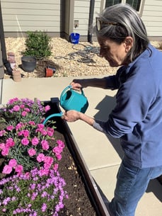 A senior woman waters flowers in a planter.