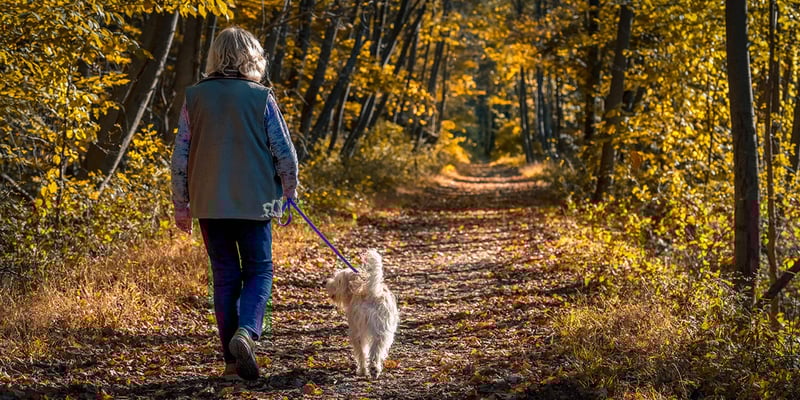 senior woman walking through a path with her dog