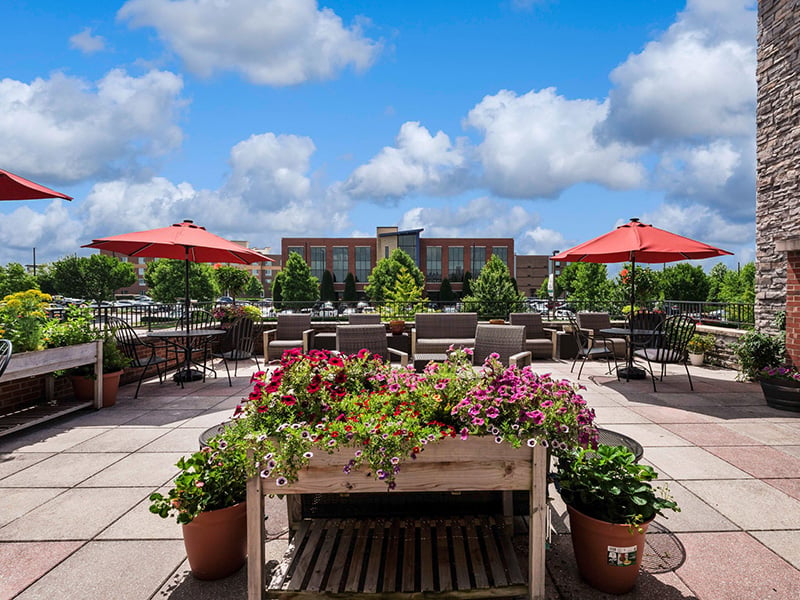 The beautiful outdoor gardens at Cedarhurst of Beaumont, featuring raised beds designed for easy and accessible gardening