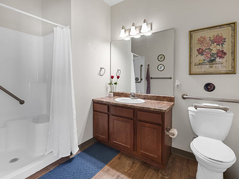 Accessible bathroom in a senior apartment at Cedarhurst of Breese, designed for comfort, safety, and independence