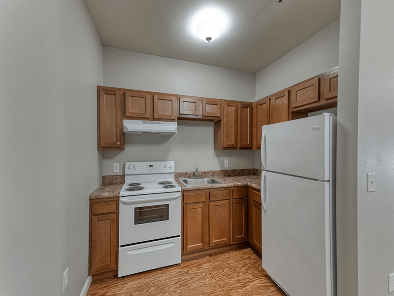 An accessible kitchenette in a senior apartment at Cedarhurst of Breese, designed for ease of use and independence.
