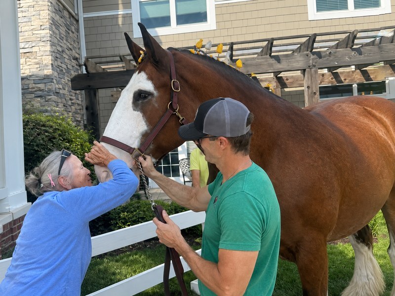 nior living resident meeting a Clydesdale horse as part of a Dream Come TRUE wish.