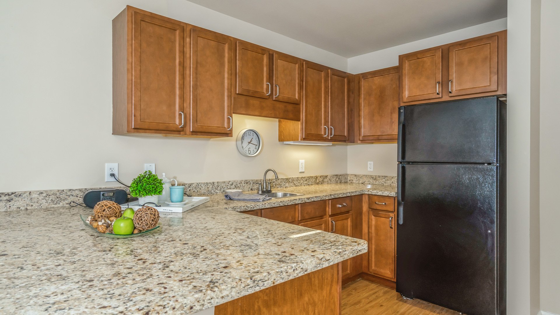 An accessible kitchenette in a senior apartment at Cedarhurst of East Louisville, designed for ease of use and independence