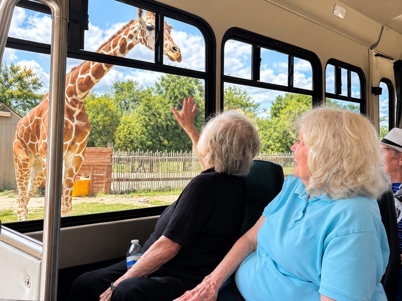 Senior living residents waving at a giraffe from the community bus on a zoo outing.