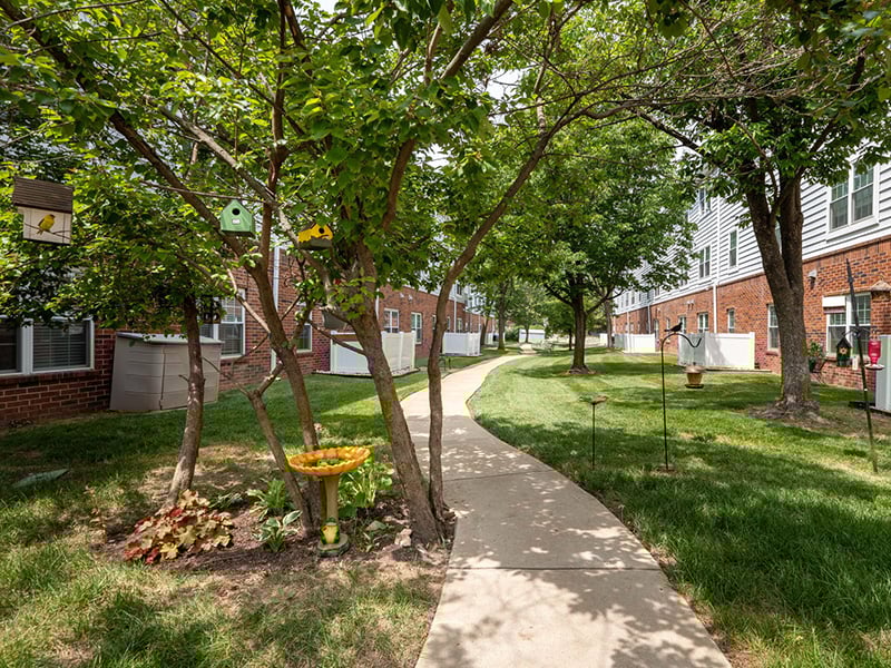 An inviting outdoor area at Cedarhurst of Tesson Heights, showing lush green spaces and paved paths