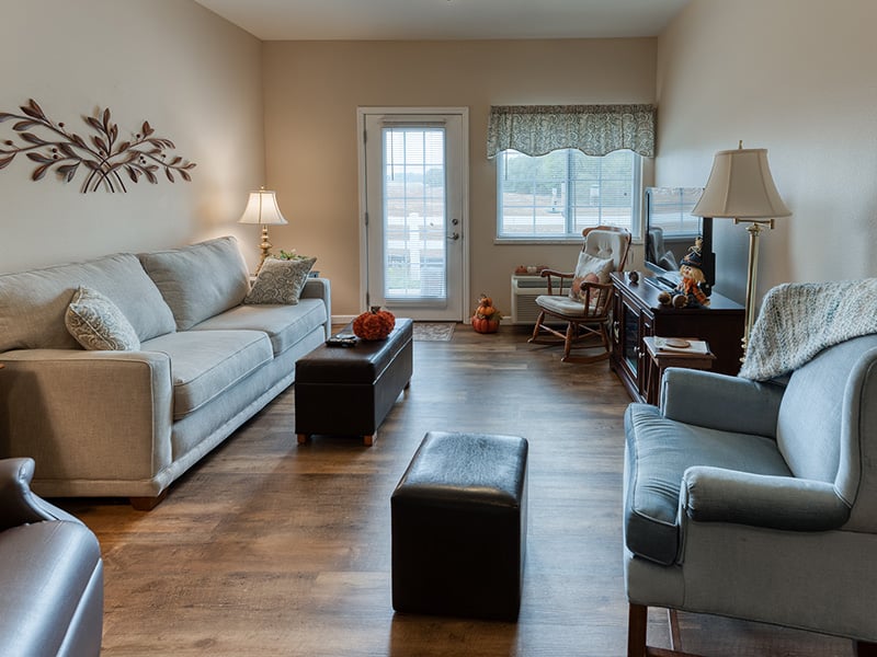 Senior-friendly apartment living room at Cedarhurst of Waterloo, offering comfortable and accessible design for residents