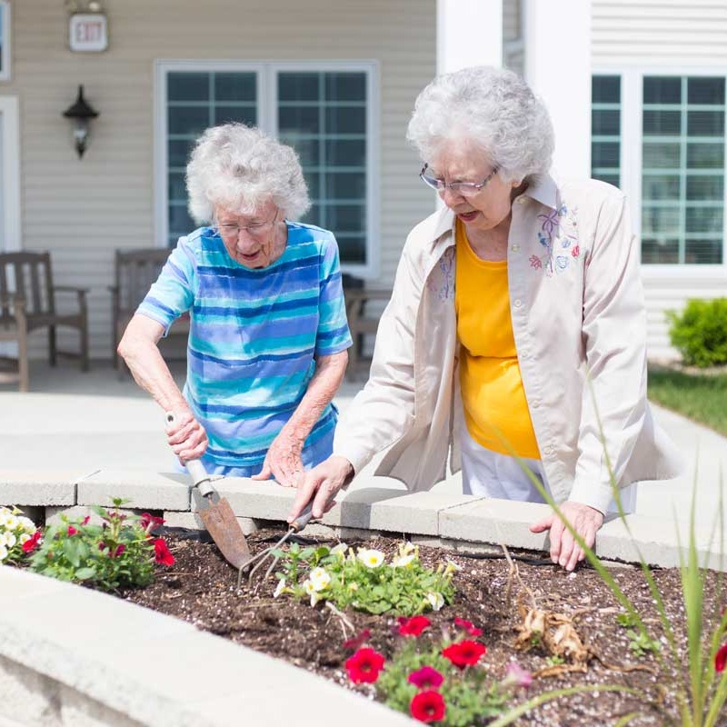 senior woman gardening