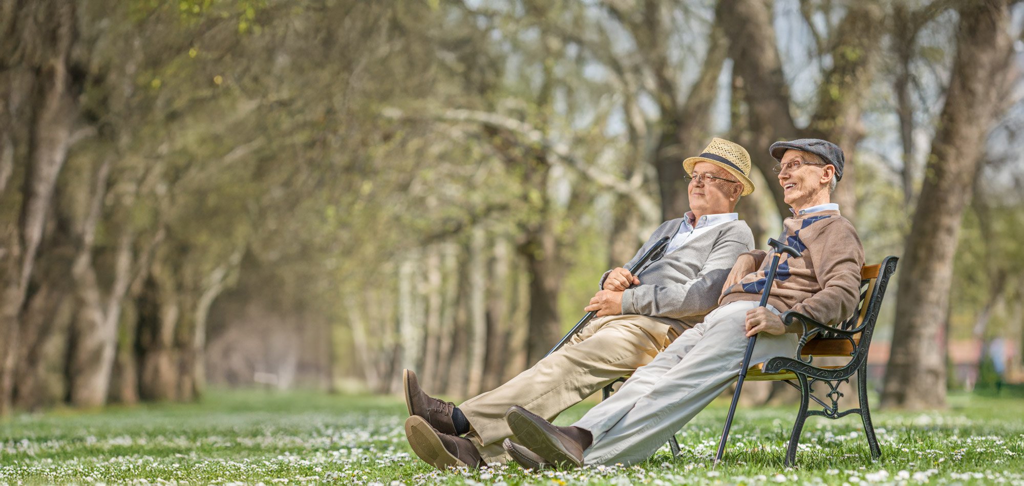 senior friends sitting on bench in park