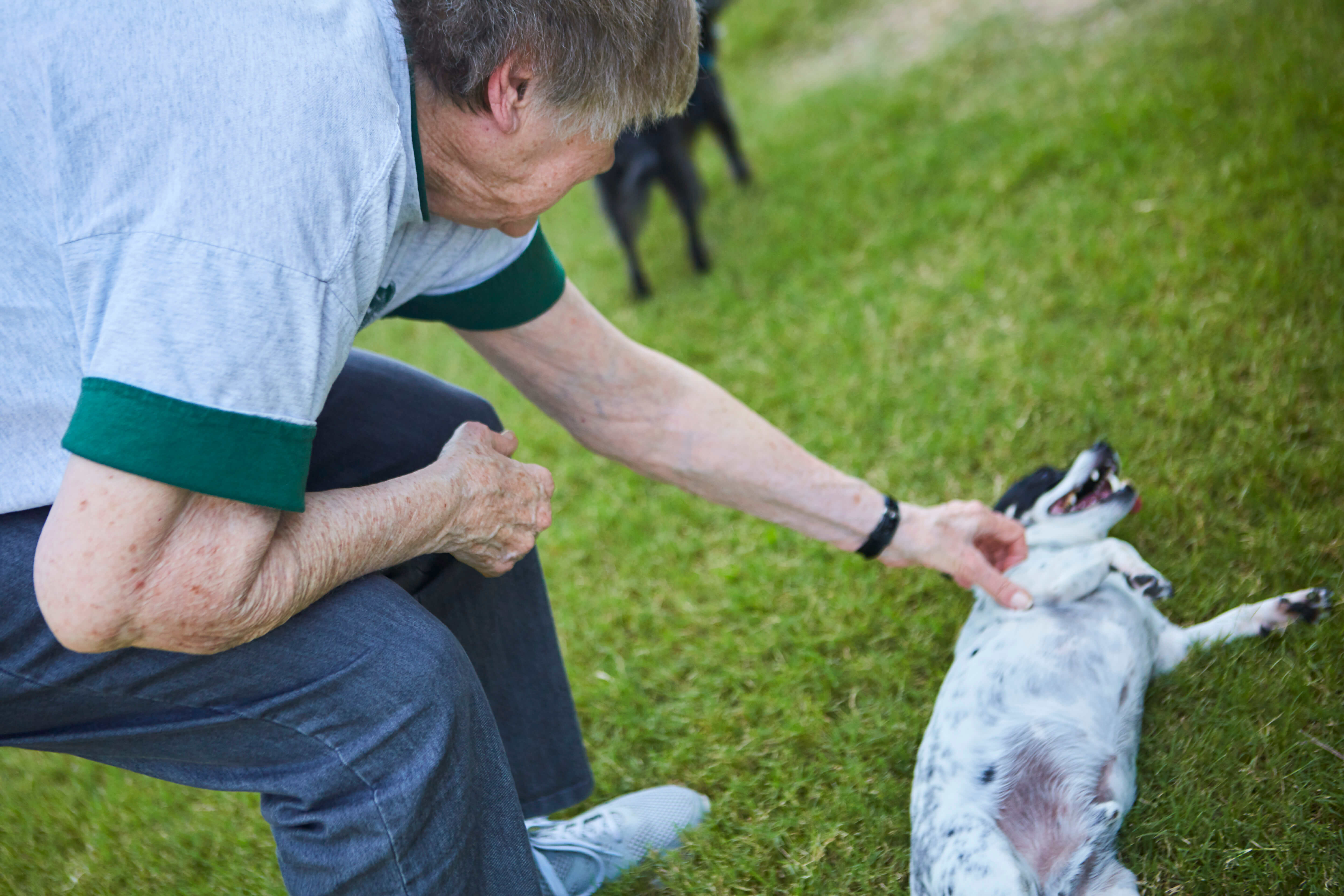 Resident playing with a dog outside