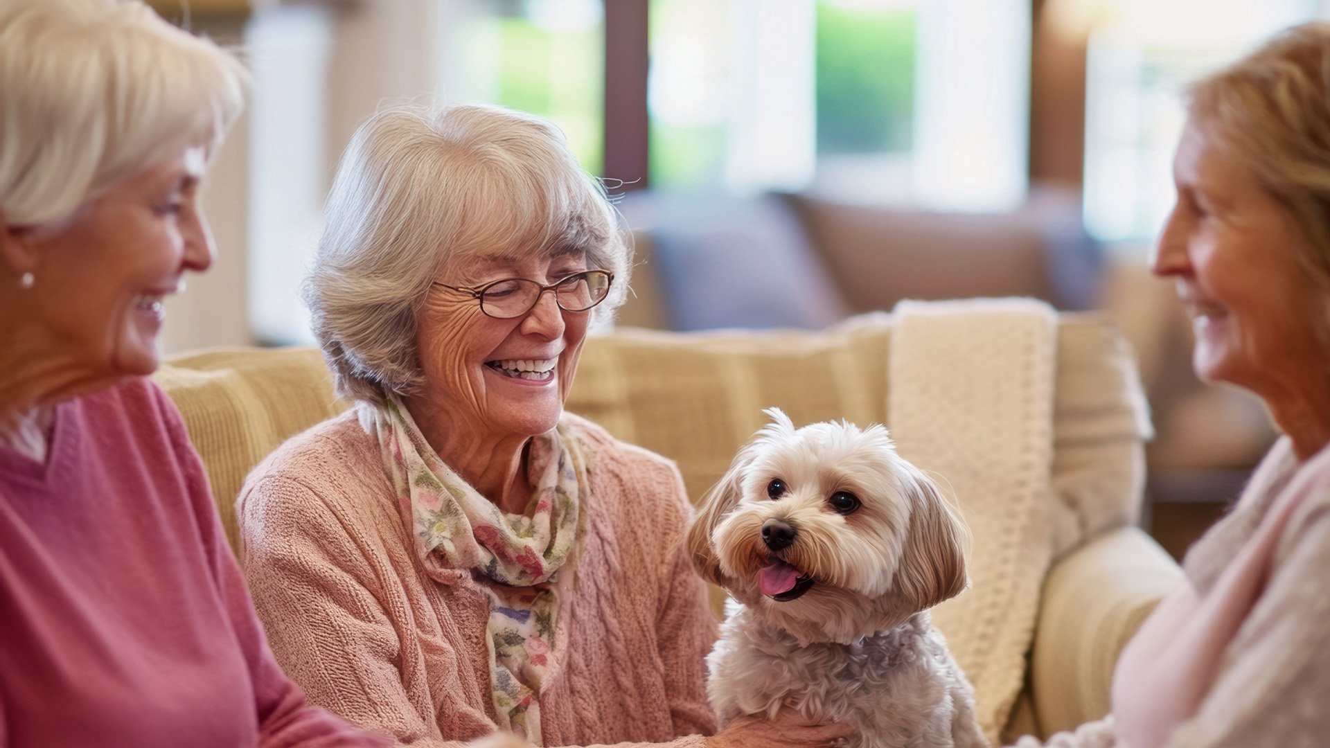 Three smiling senior women sitting on a couch with a small dog