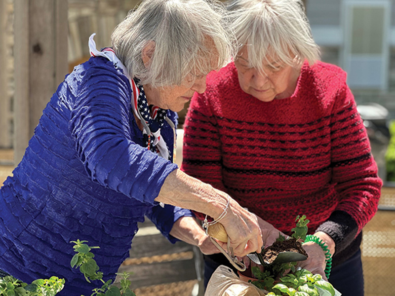Two senior women gardening