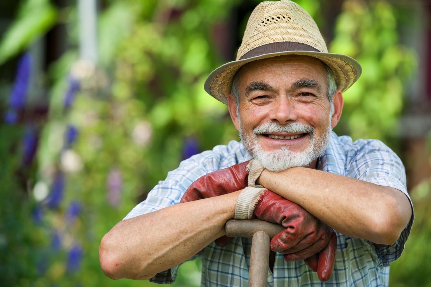Senior man wearing a hat and gardening gloves in a garden