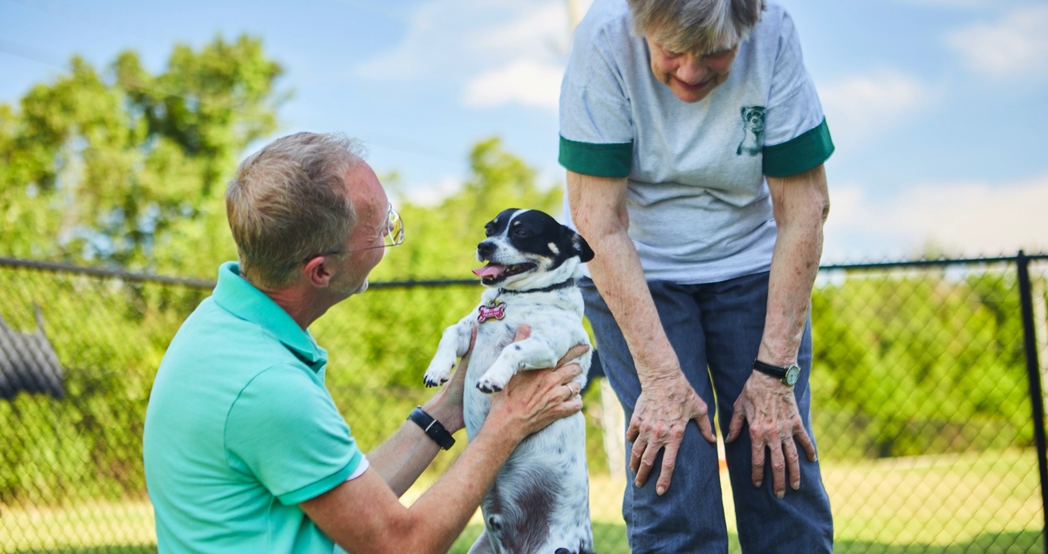 Seniors spending time with animals