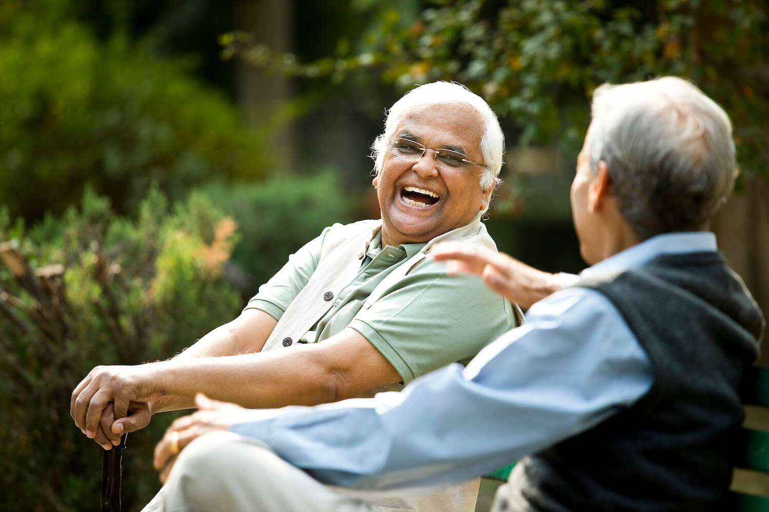 Senior men laughing on a bench in the garden