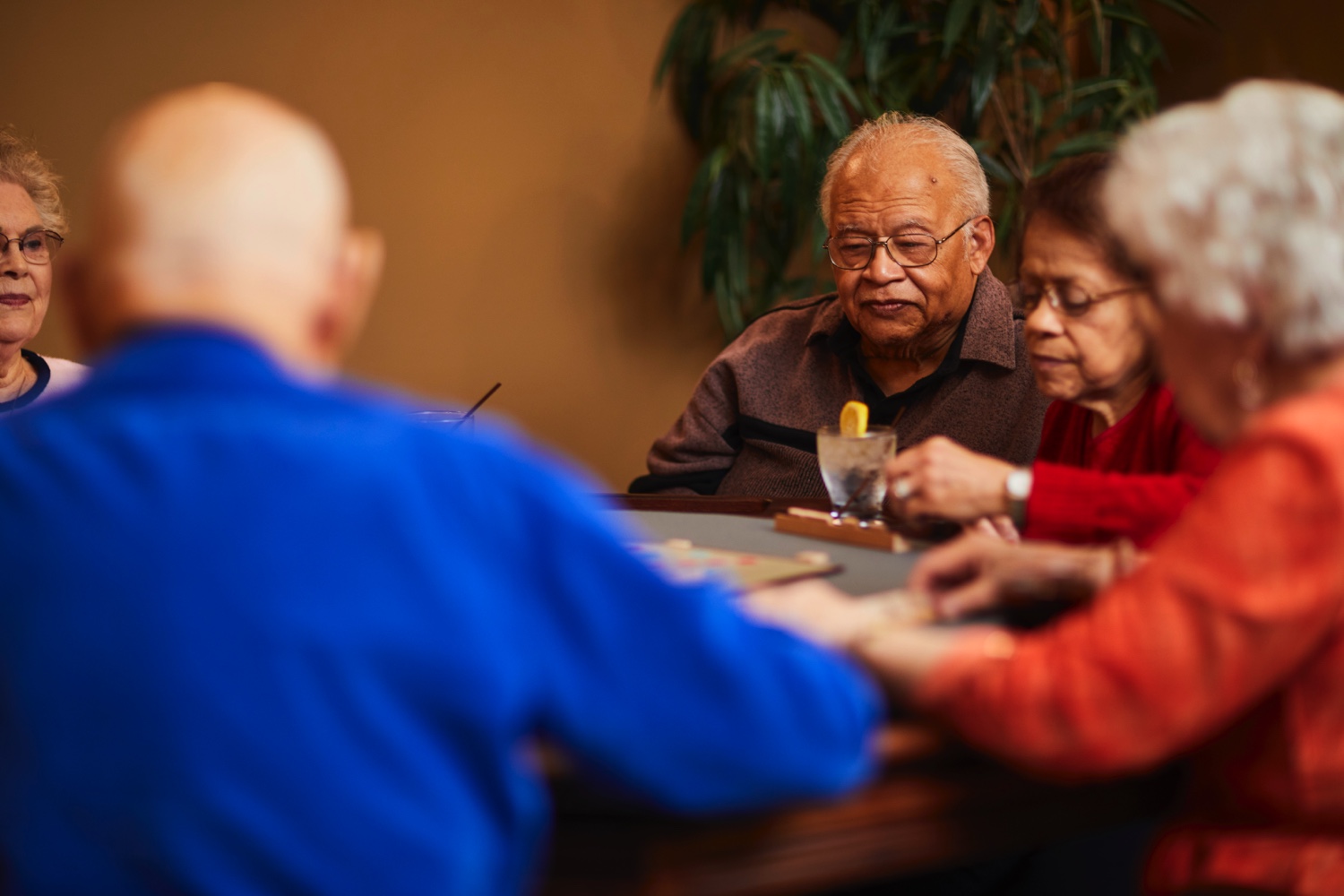 seniors Playing Game