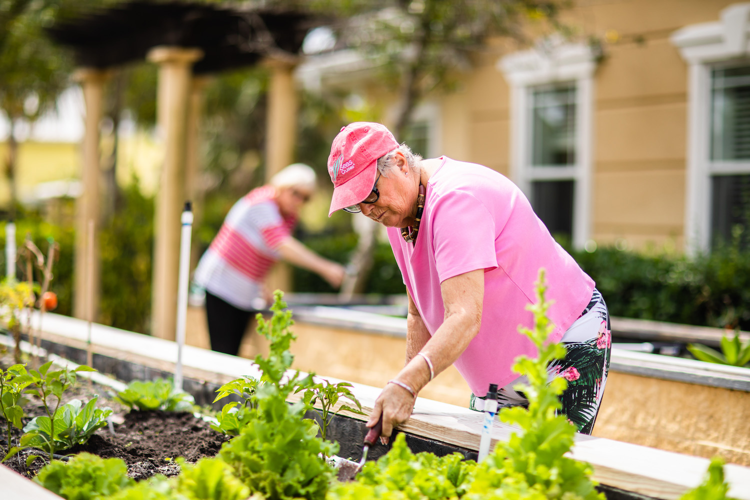 Senior residents gardening in raised flowerbeds