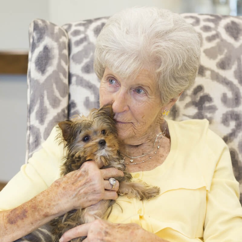 senior woman holding a small dog