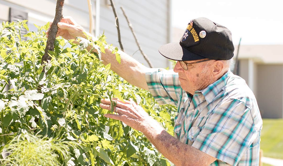 Senior man gardening outdoors