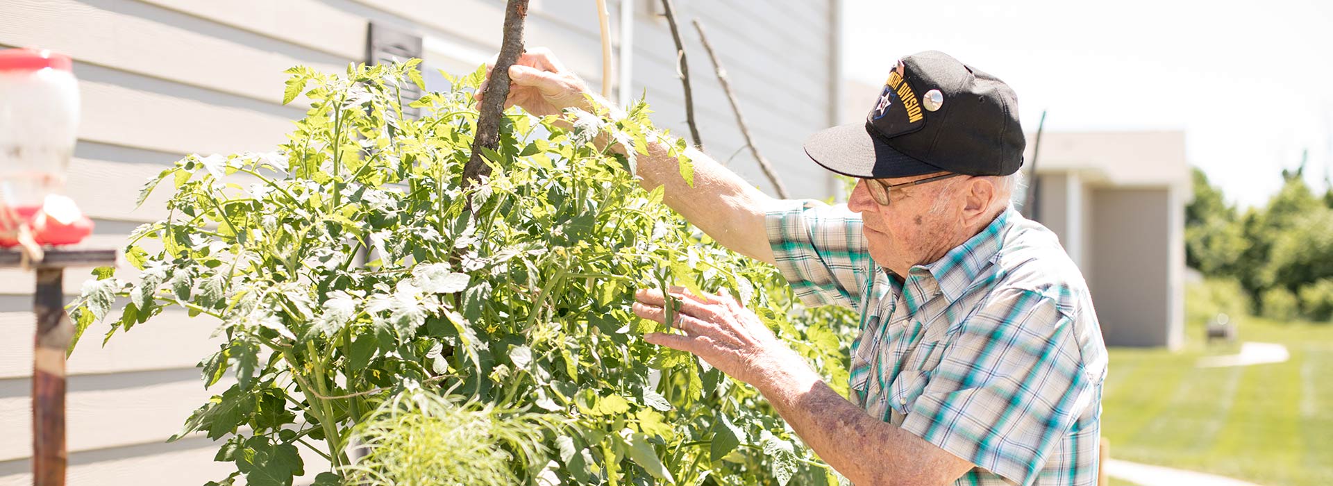 Senior man gardening