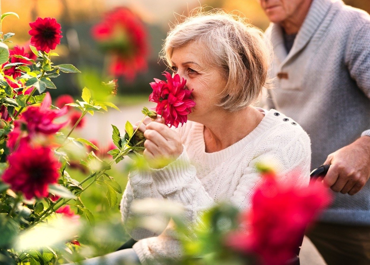 Senior in wheelchair smelling flowers in the garden