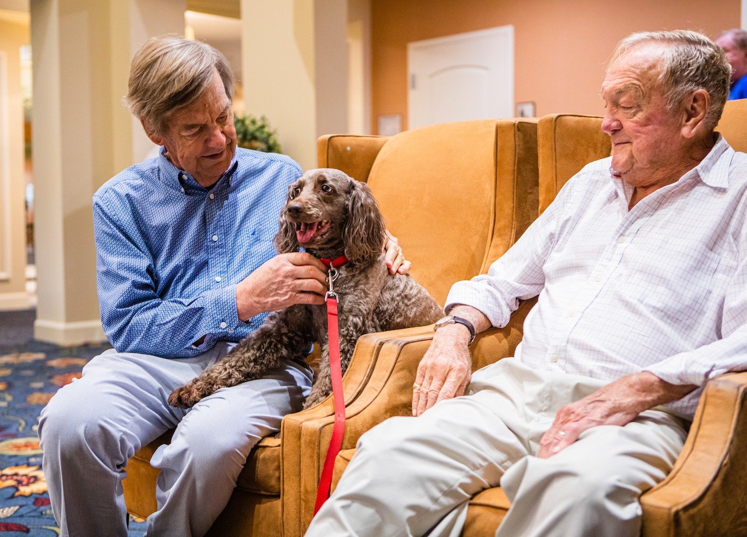 Two seniors sitting in chairs, one of them holding a dog on his lap