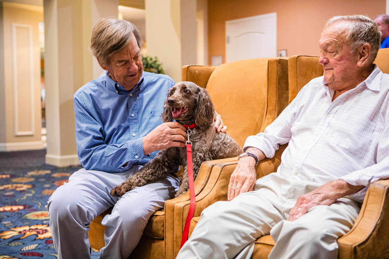 Two senior men sitting in a living room with a dog