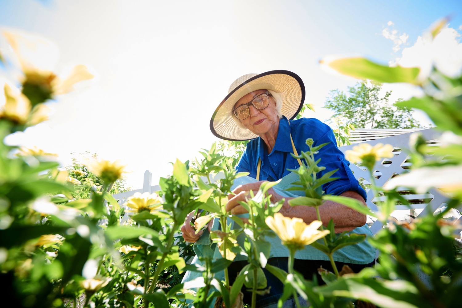 Senior gardening outdoors