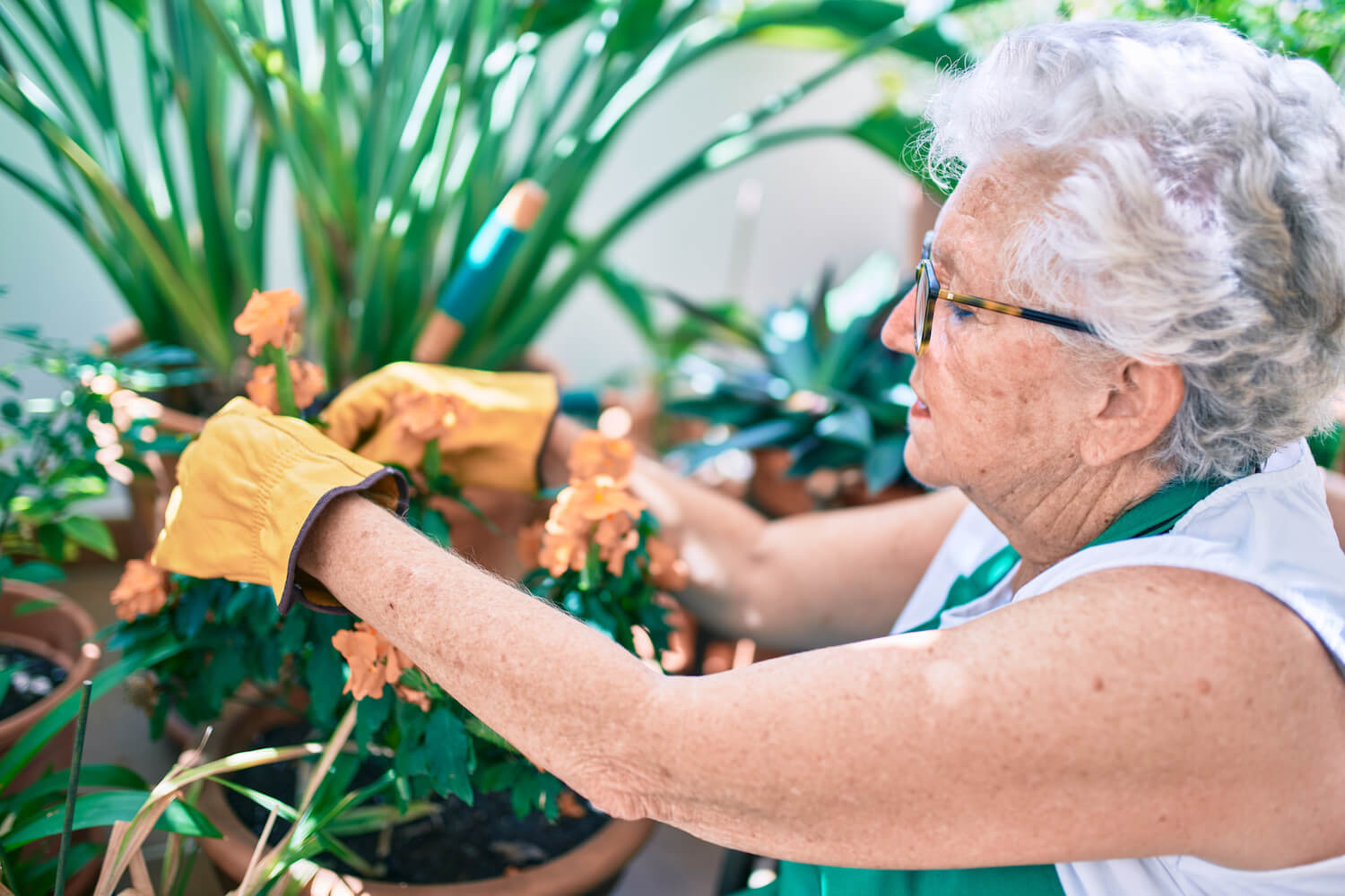 Senior woman gardening outdoors