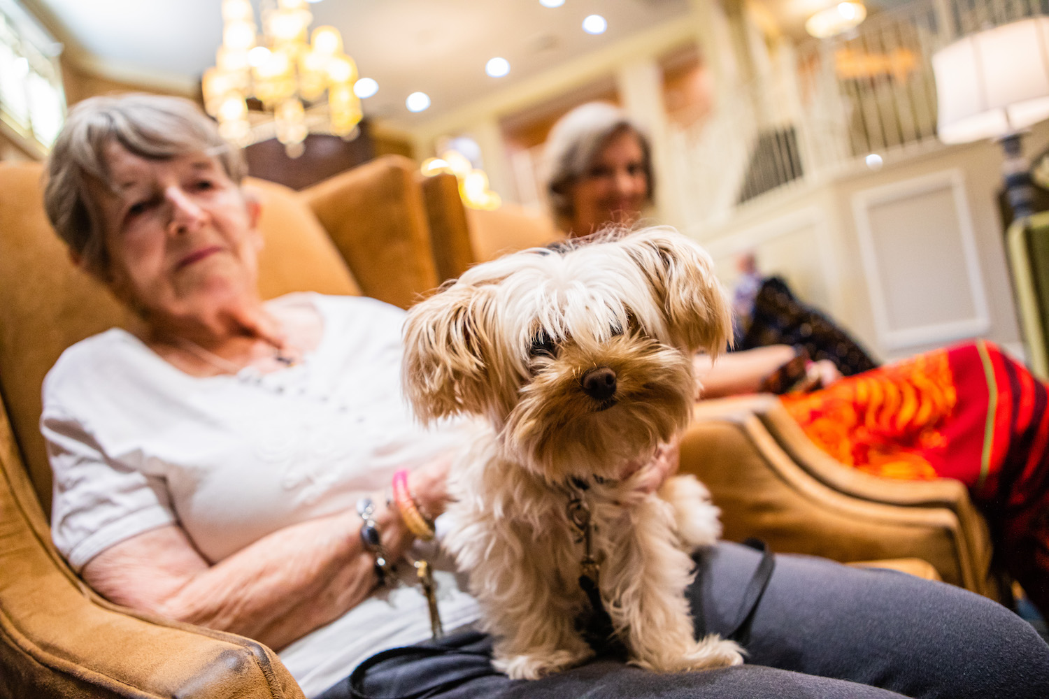 Senior with pet