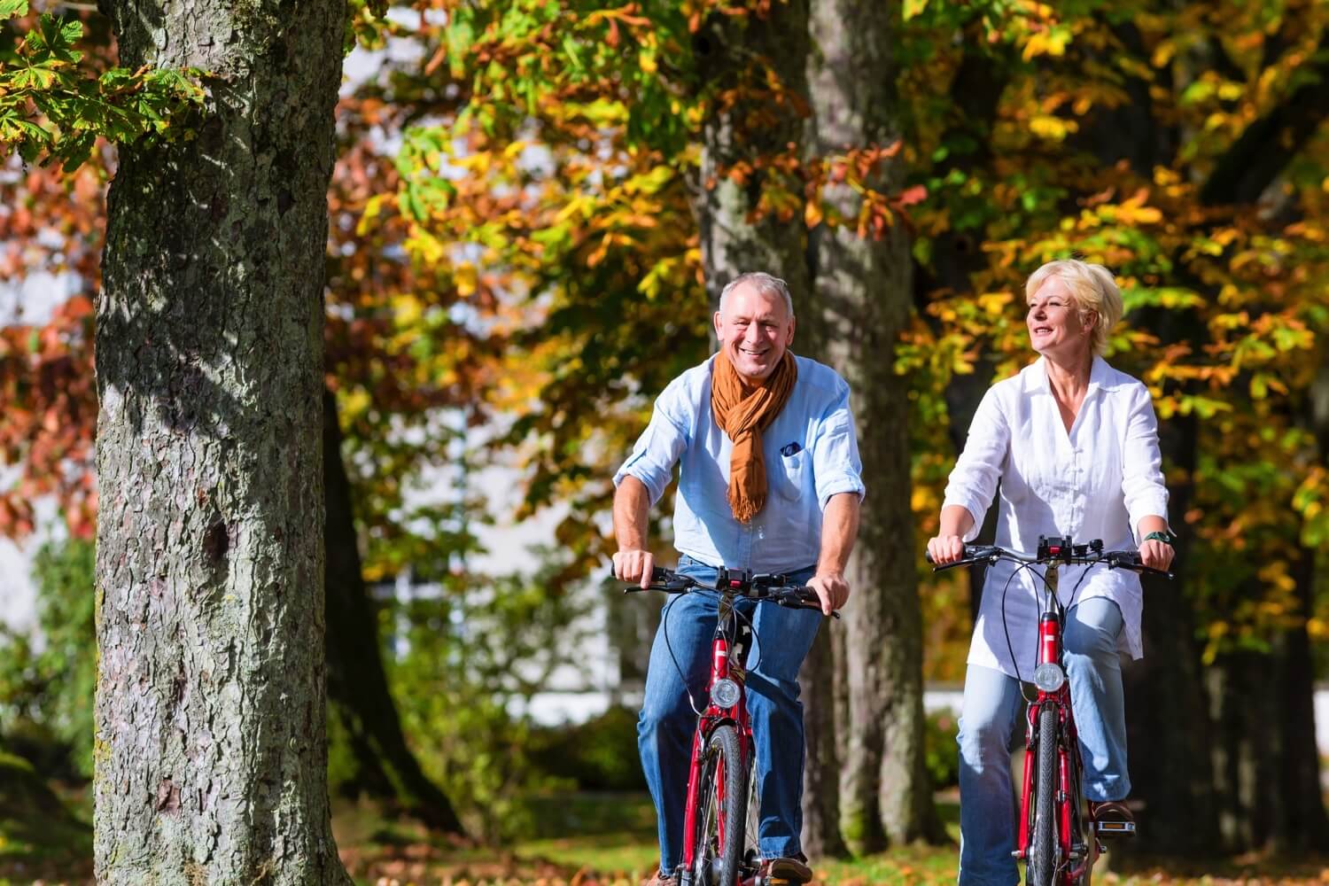 Two seniors on bicycles in a park