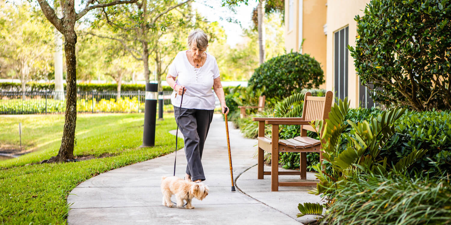 A resident walking her dog outside on a garden path