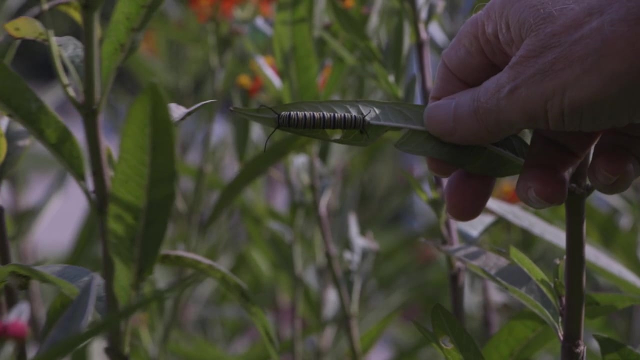 Cedarhurst of Columbia - Resident Story - Dr. Hart-thumb