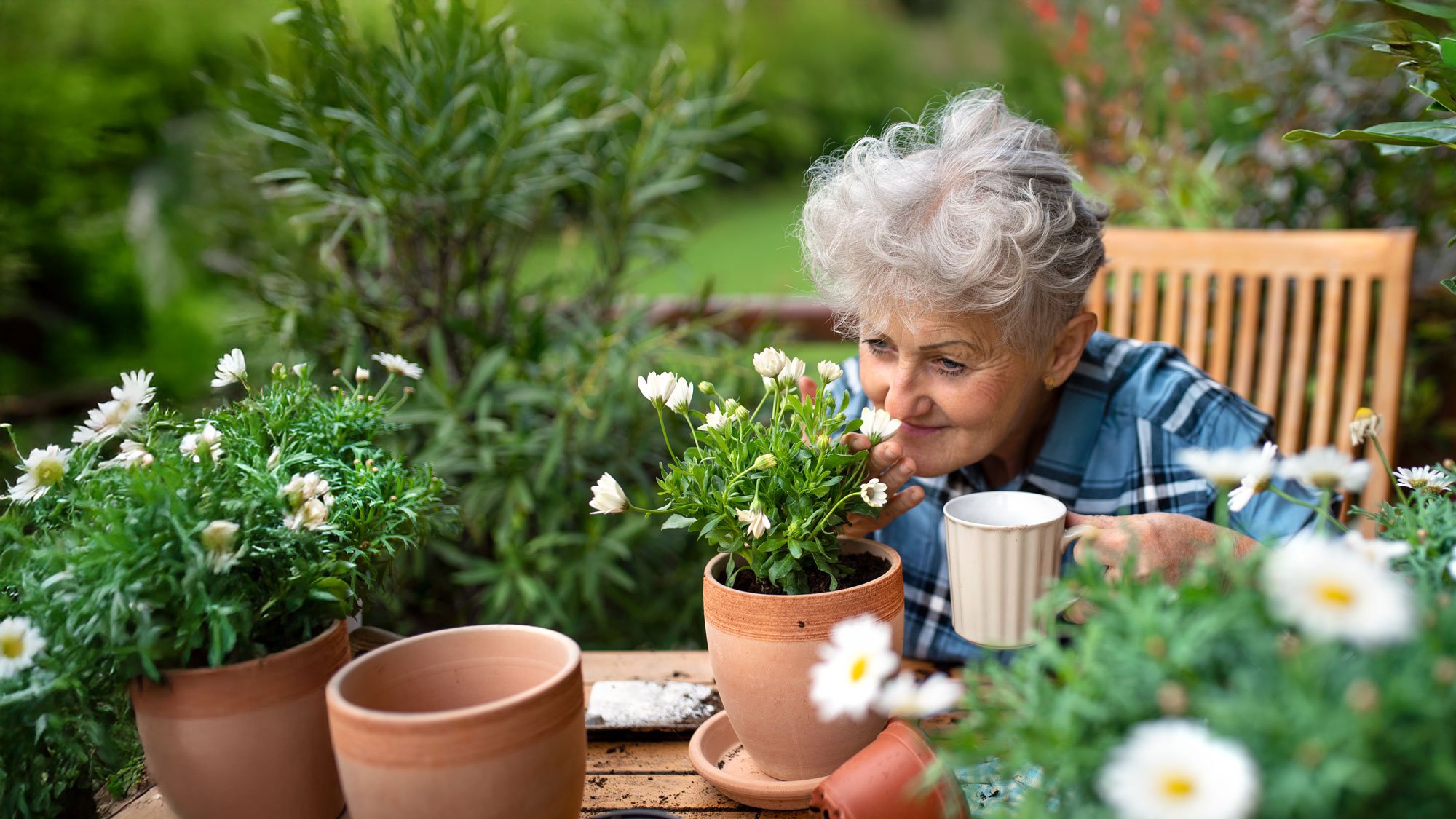 senior woman outside in garden smelling flowers